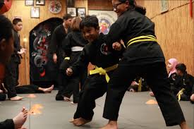 Image result for Bushido Academy Of Martial Arts (Bama)