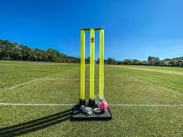 Image result for Ivybridge Cricket Club