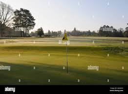 Image result for Hindhead Golf Club