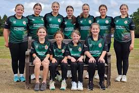 Image result for Barnards Green Cricket Club