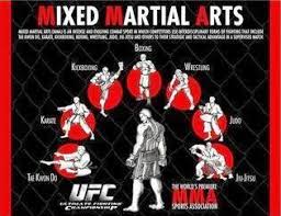Image result for Full Element Mixed Martial Arts