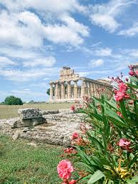 Image result for paestum