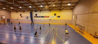 Image result for Tara Sports Badminton Club