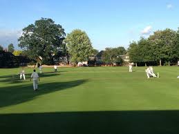 Image result for Letchworth Cricket Club