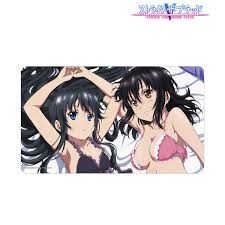 「南宮那月 ストライク・ザ・ブラッド」の画像検索結果