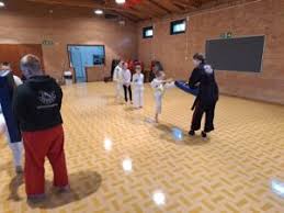 Image result for Invertay Taekwondo Club
