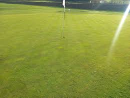 Image result for Longridge Gc