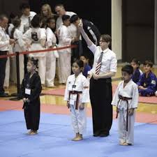 Image result for Ndm Martial Arts