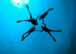 Image result for Divemaster Scuba