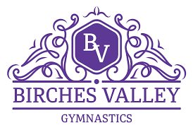Image result for Blythe Valley Gymnastics Club