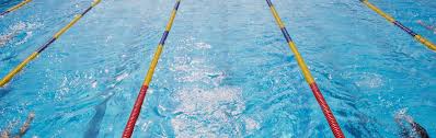 Image result for Ware Swimming Club