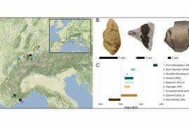 Attēlu rezultāti vaicājumam “Aloina rigida sporophyte”