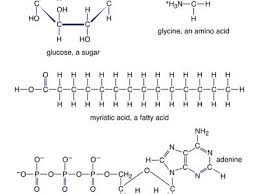 Image result for  `   C   h | [ Y