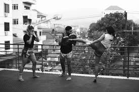 Image result for Vipers Thai/Kickboxing School