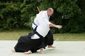 Image result for Basingstoke Aikido Club