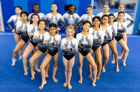 Image result for L&G Acrobatic Gymnastics Club