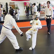 Image result for Bushin Kenpo Kai Schools