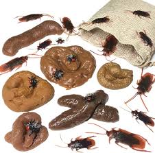 Image result for insect poop