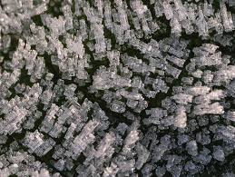 Image result for U3A Shaftesbury SG