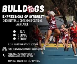 Image result for Halton Netball Club