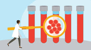 Image result for blood