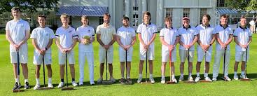 Image result for Unity Croquet Club (Sudbury) Ltd