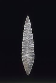 Image result for feuille-laurier-silex