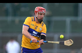 Image result for Clarehurlers