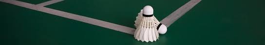 Image result for Guernsey Badminton Club