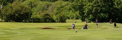 Image result for Clandon Regis Golf Club Ltd