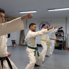 Image result for Norfolk Karate