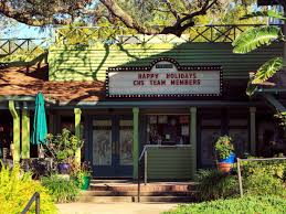 Image result for Enzian