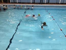Image result for Belgrave Swimming Club