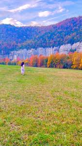 Image result for $$fall_akte__ort$$