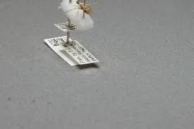 Attēlu rezultāti vaicājumam “Tetanops myopina”