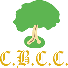 Image result for Colwyn Bay Cc