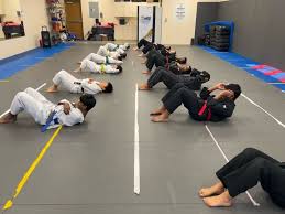 Image result for TopKick Martial Arts Center Leesburg