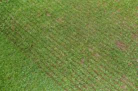 Image result for Southsea Common Bowling Greens
