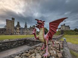 Image result for Cardiff Capitals