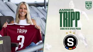 Image result for Amber Valley Ac