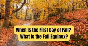 Bildergebnis für Fall…