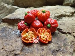 Afbeeldingsresultaat voor 7 pot hot pepper