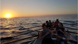 Image result for Appledore Pilot Gig Club