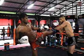 Image result for Sitnarong Muay Thai Club
