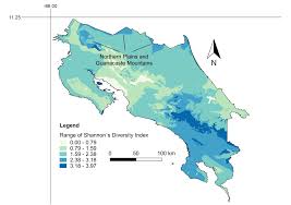 Attēlu rezultāti vaicājumam “Paradiacheopsis rigida stalked”