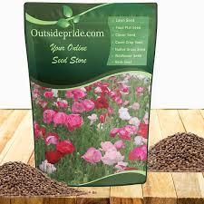 Image result for Papaver rhoeas 'Shirley'