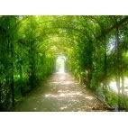 Image result for kommtek tehron