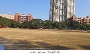 Image result for Westerdale Cricket Club