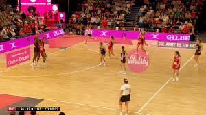 Image result for The Downs Netball Club