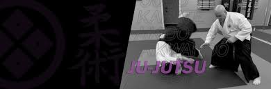 Image result for Ryuko Dojo